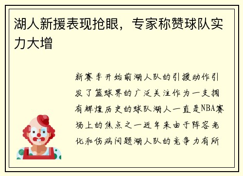 湖人新援表现抢眼，专家称赞球队实力大增